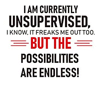 I AM CURRENTLY UNSUPERVISED I KNOW, IT FREAKS ME OUT TOO