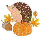 Hedgehog