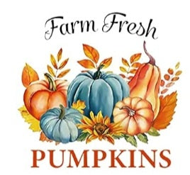 Fresh Farm Pumpkins