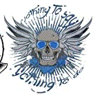 Nothing to say nothing to do, blue and grey skull