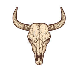 Bull head